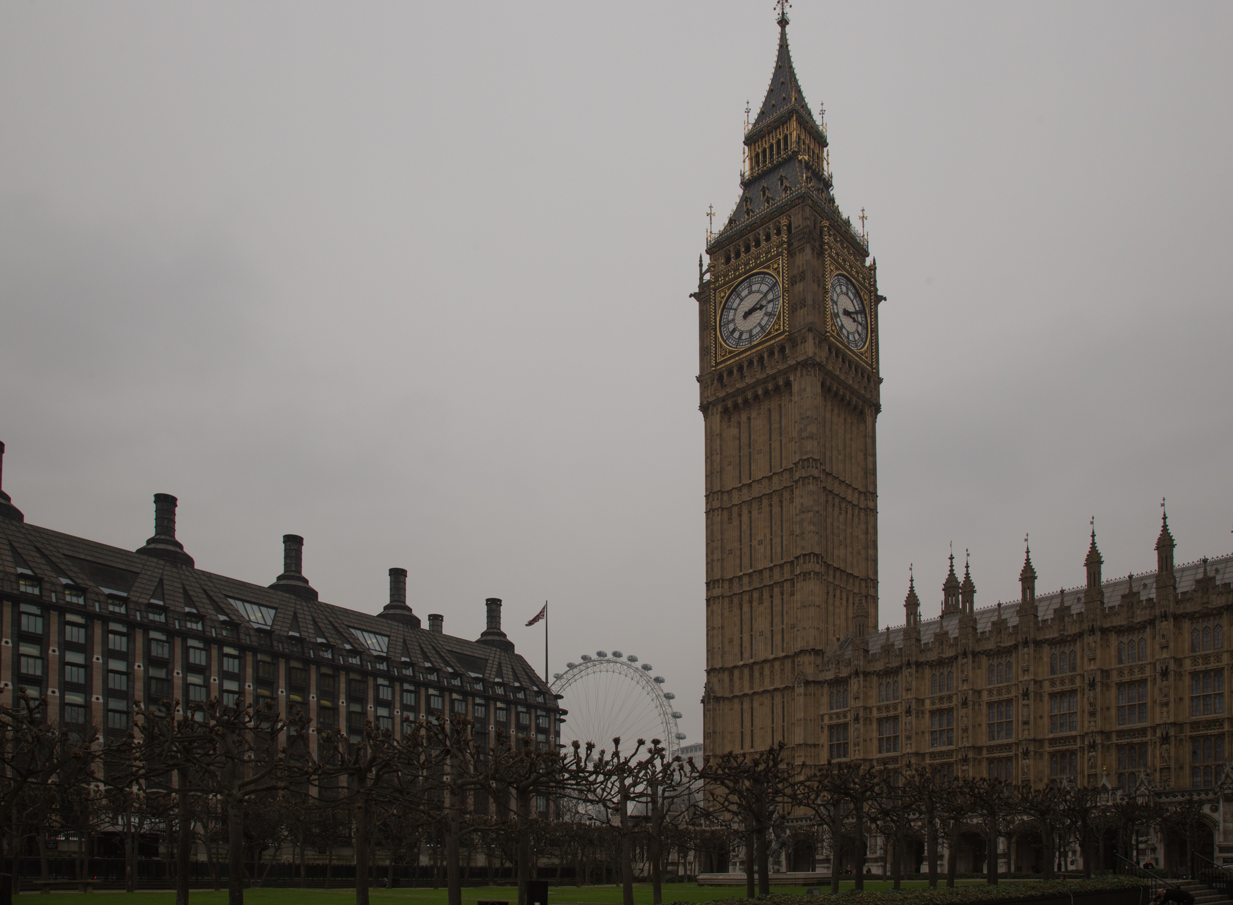 Questions and Answers in Parliament